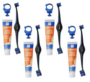 4 Tooth Brushing Bundles