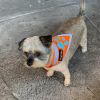 Orange Dog Bandana S Size Hi Visibility Reflective Blaze Orange Bandana for Small Pets Safety Accessories for Walking Camping and Off Leash Exploratio